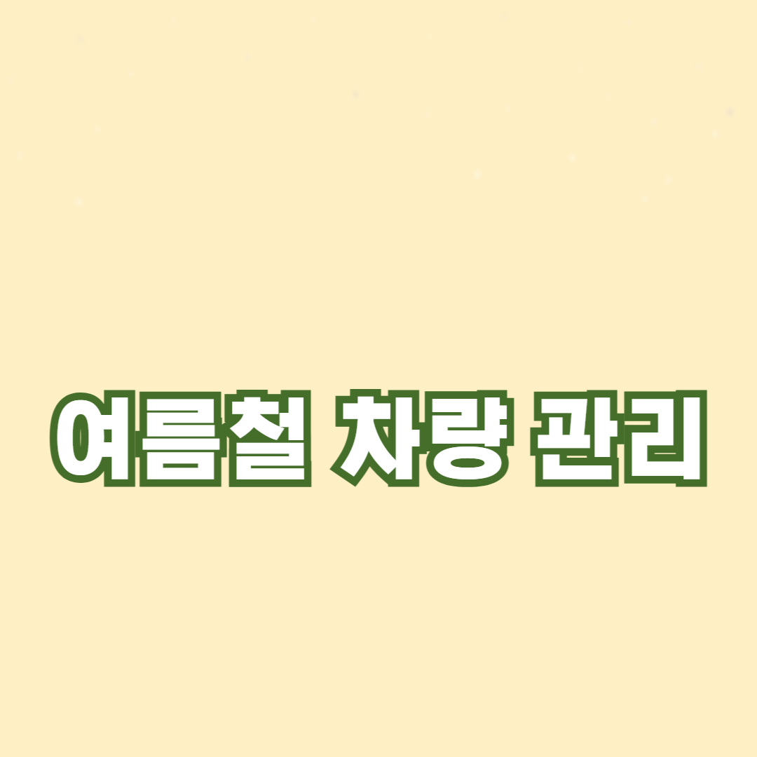 여름철 차량 관리: 고온에서 차량 보호하는 비법