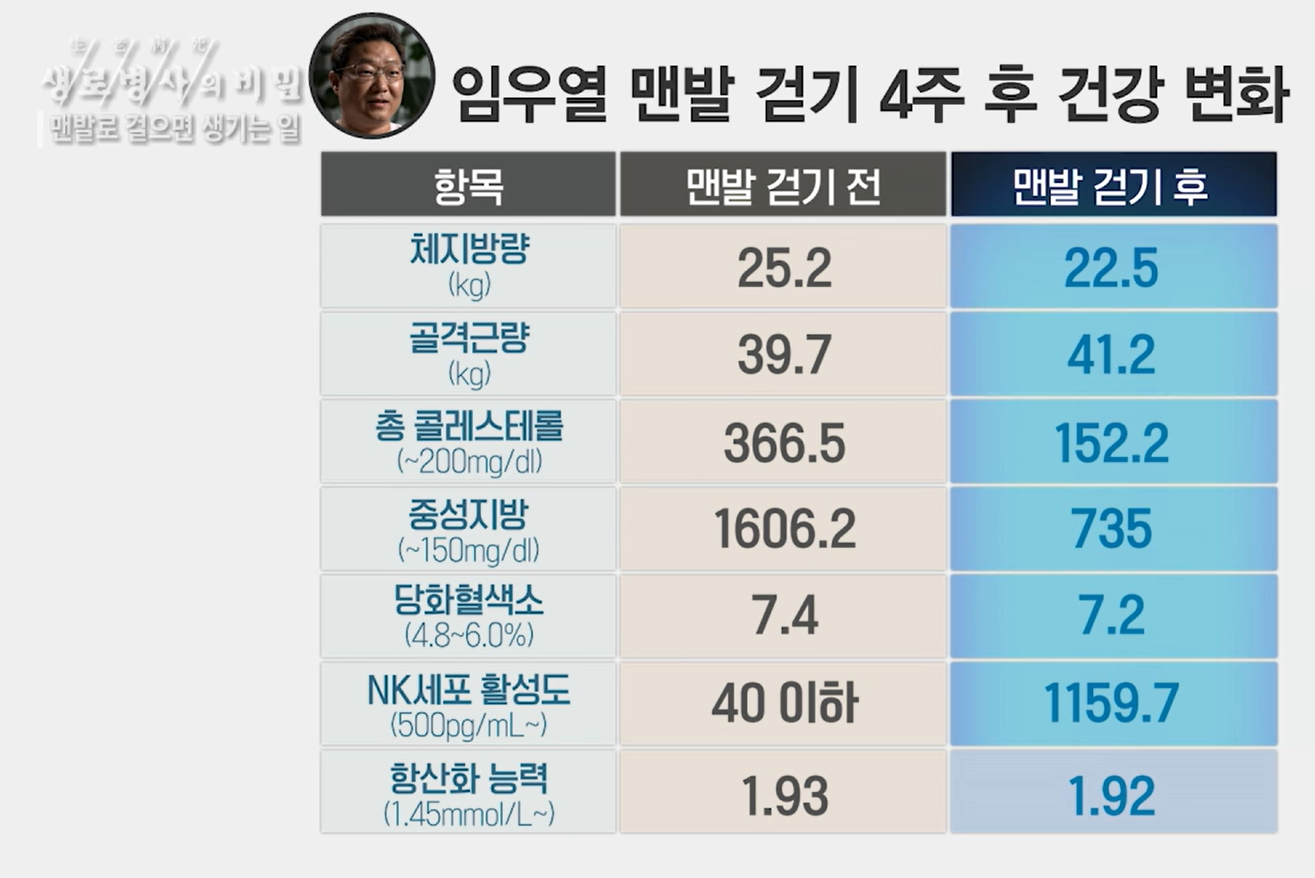 맨발 걷기 효능