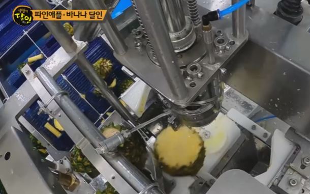 파인애플 달인