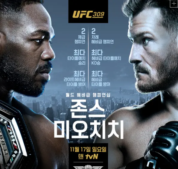 존 존스 헤비급 왕좌