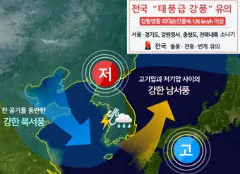 봄철 강풍 꽃가루 농도 알레르기 마스크 관리_9