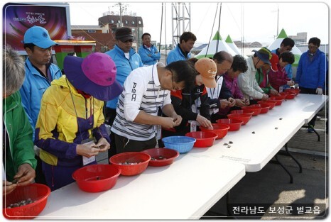 벌교꼬막 축제 프로그램