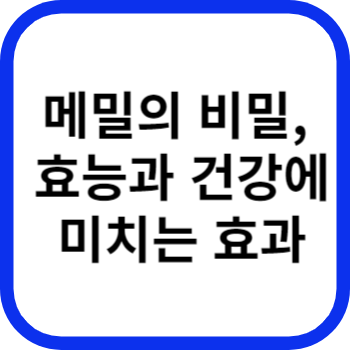 메밀의 비밀, 효능과 건강에 미치는 효과