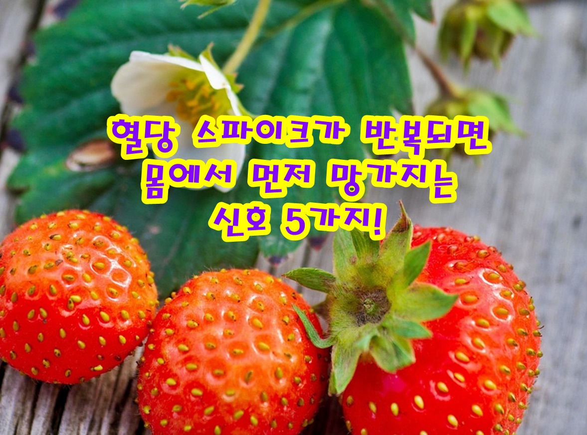 혈당 스파이크가 반복되면 몸에서 먼저 망가지는 5가지 신호