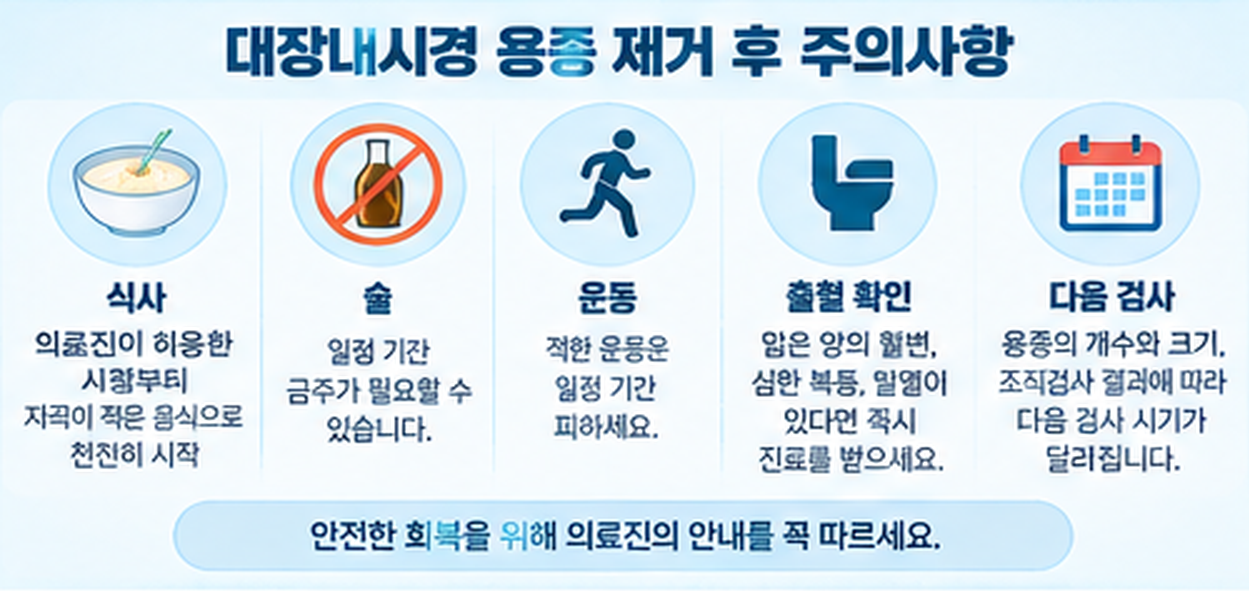 용종 제거 후 식사&middot;음주&middot;운동 주의사항 인포그래픽