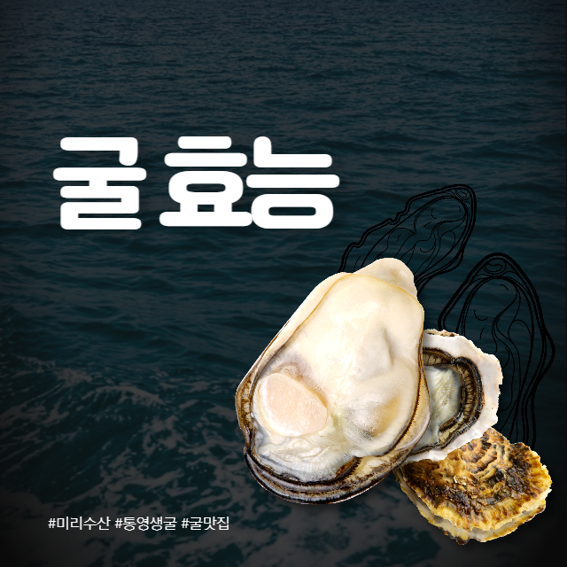굴 효능