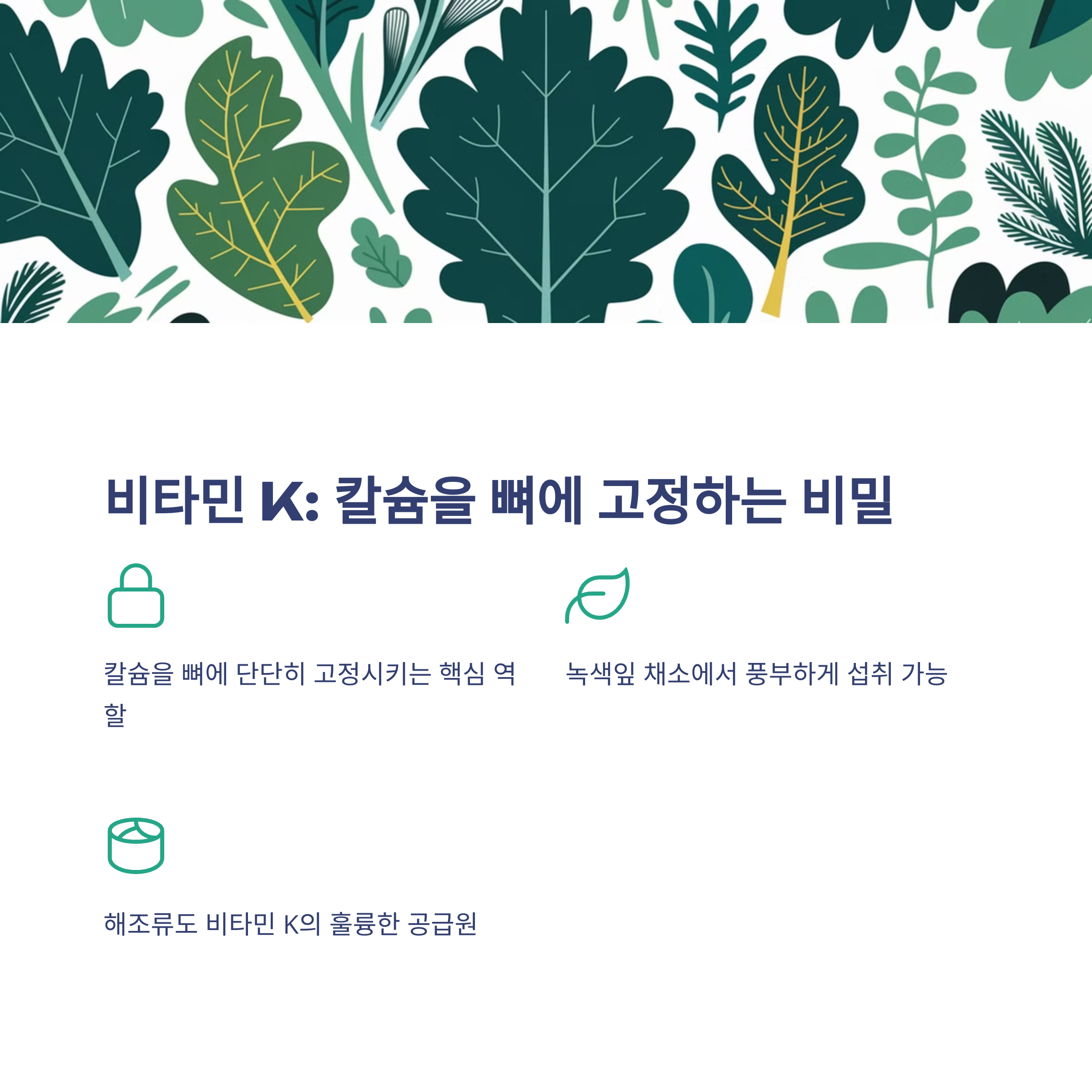 칼슘만 먹으면 안 된다? 뼈 건강을 위한 필수 영양소