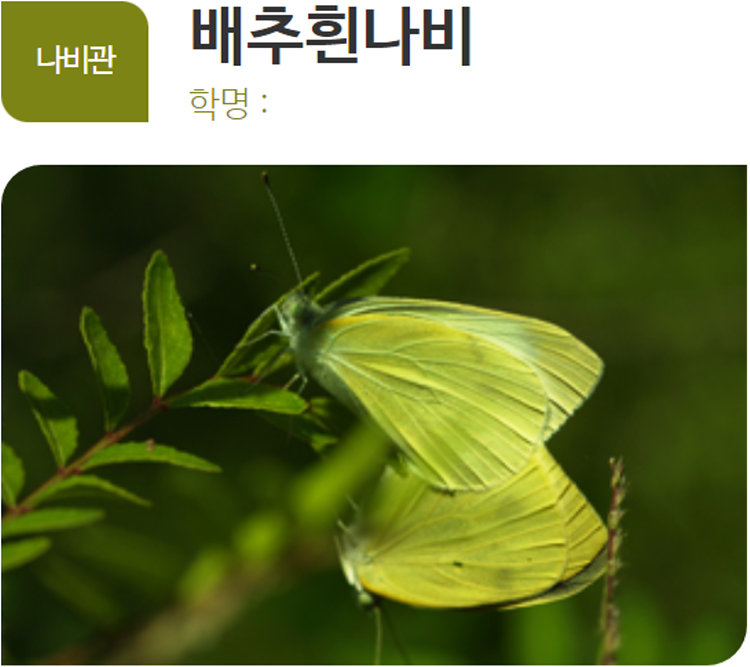 아산 생태곤충원
