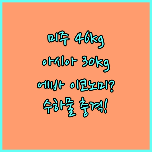 에바항공 이코노미 수하물 미주 46k..