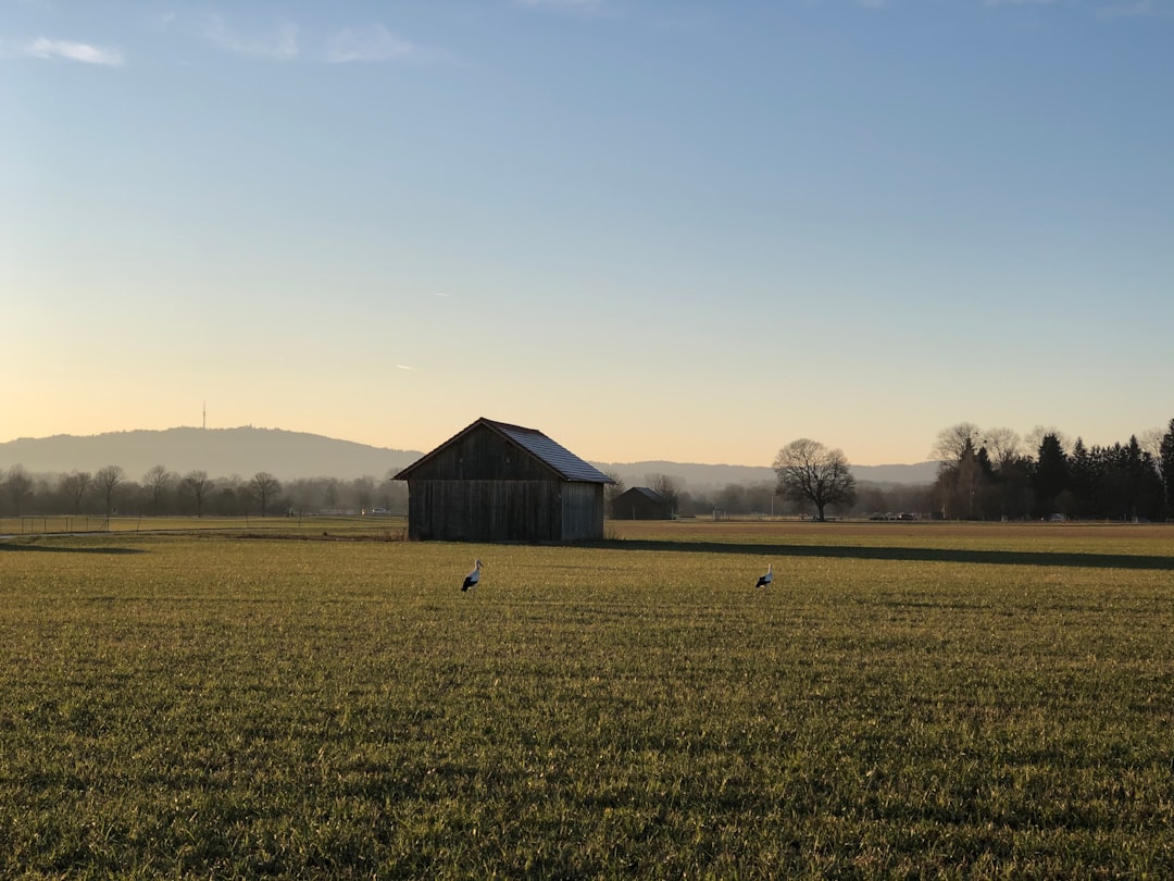 Rural