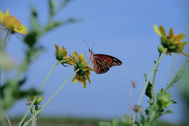 날씨 예보 전망