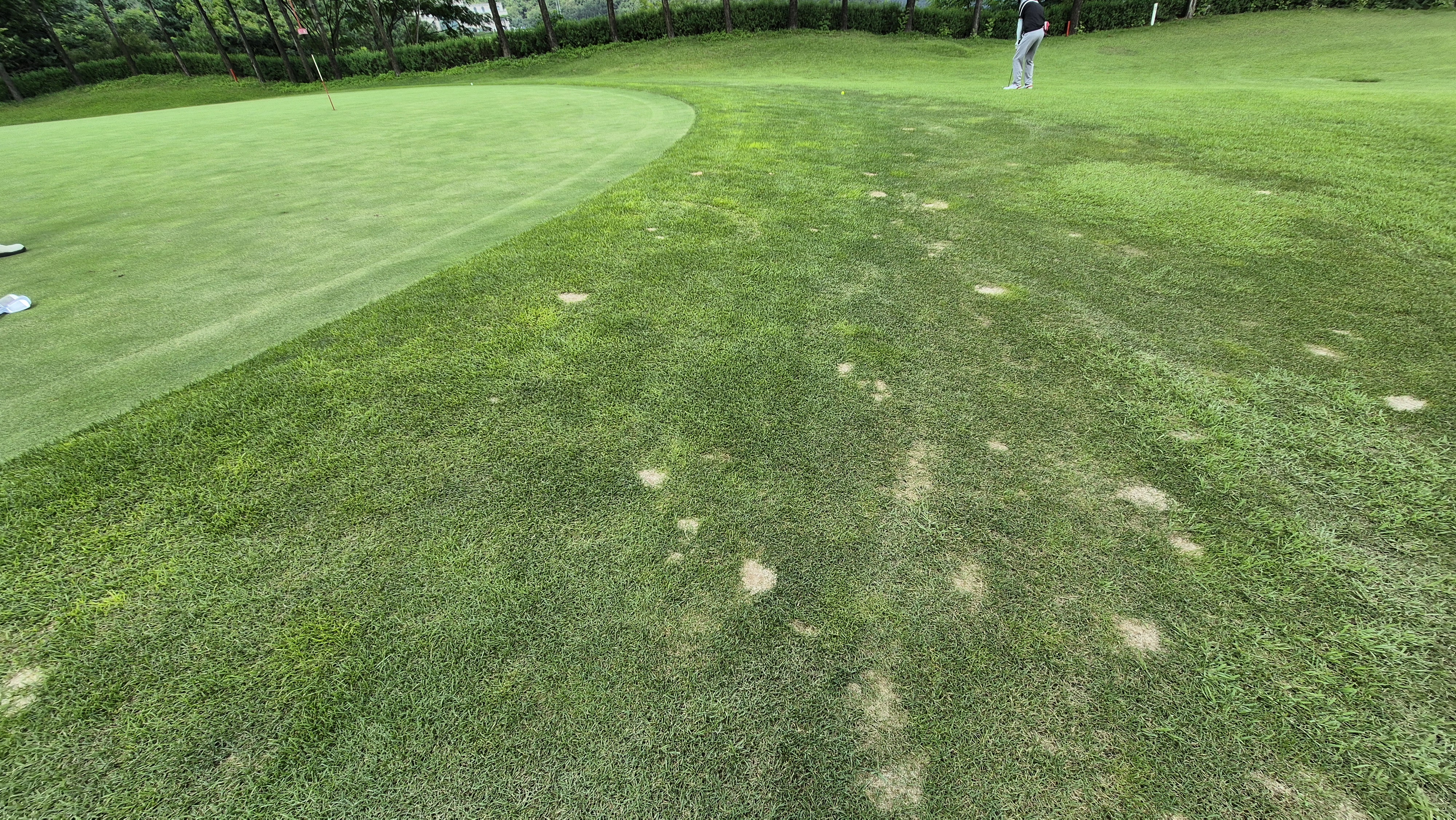 참밸리cc 라운드 후기