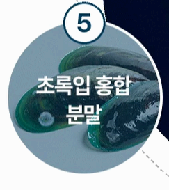 옵티머스트 관절약 효능 사진