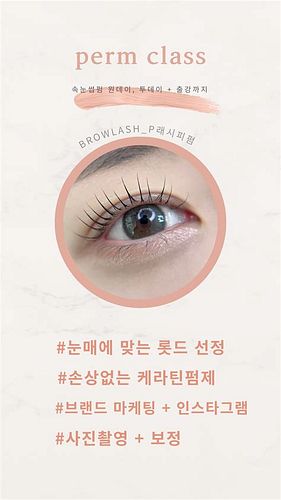 속눈썹 창업