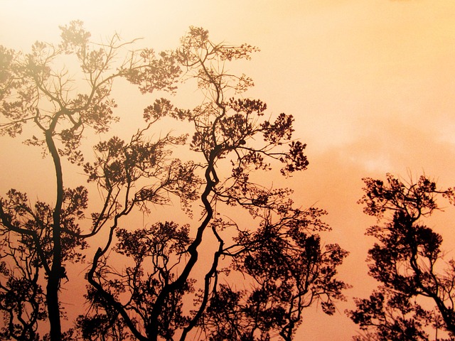 산불피해 재난지원금 신청방법