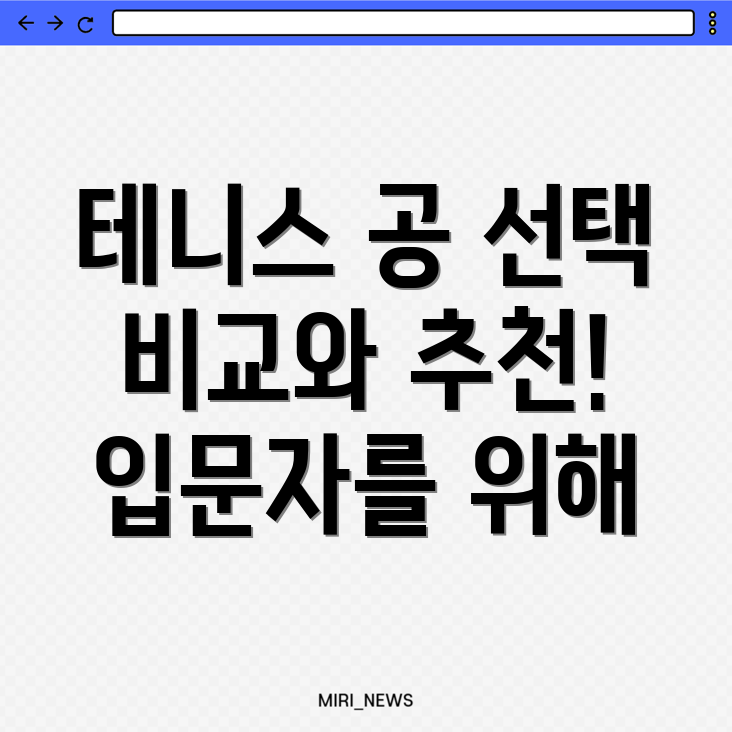 테니스 공 선택