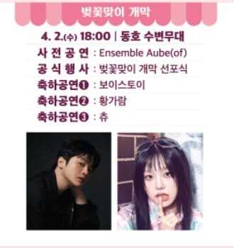 2025 석촌호수 벚꽃축제