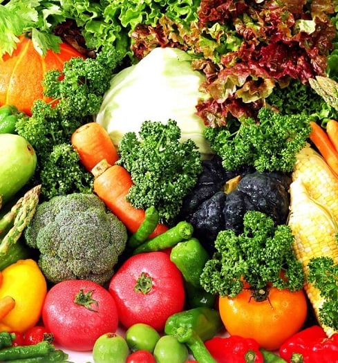 베지터 이름의 뜻&amp;#44; 영어 베지터블(Vegetable)