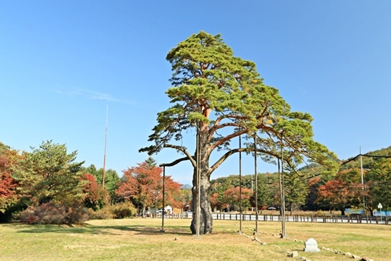 보은 가볼만한곳 베스트10