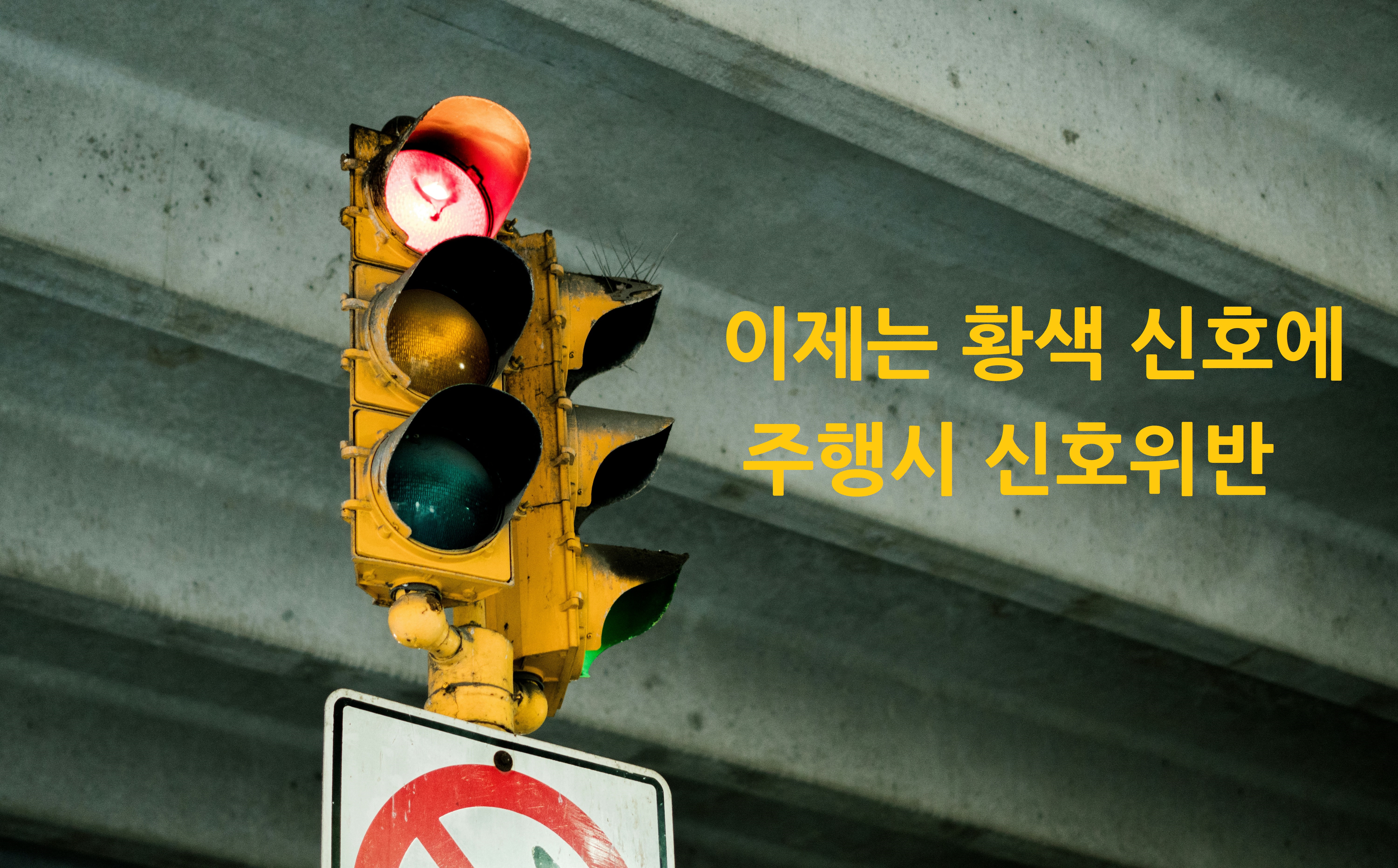 노란불 황색신호 딜레마존에 빠진 대한민국 어떻게 운전할까?