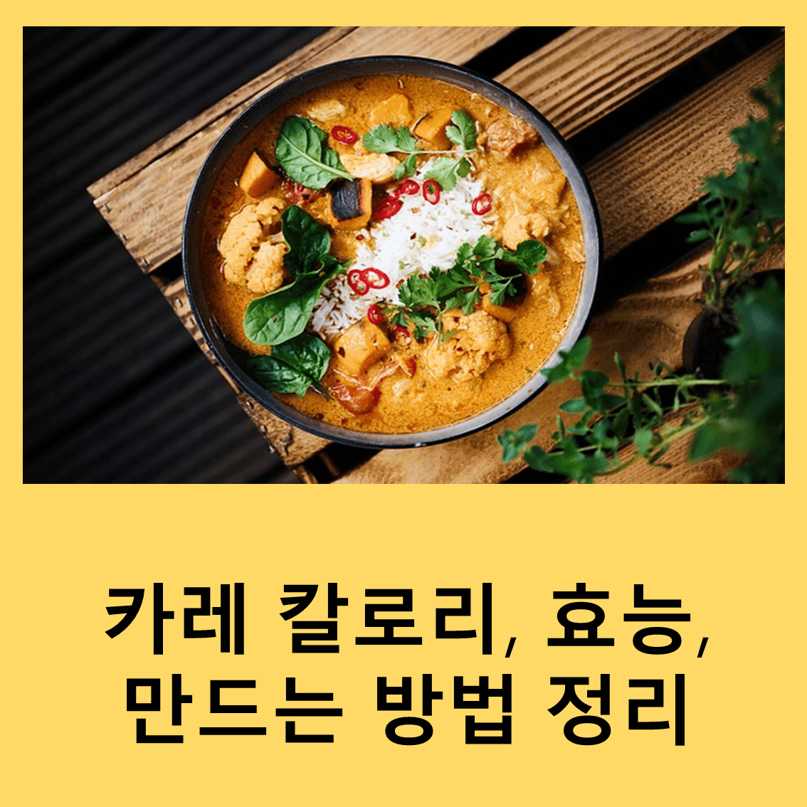카레