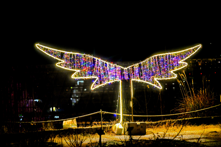 진해보타닉뮤지엄4