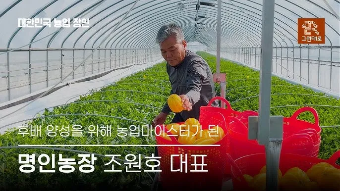 참외 재배 꽃 솎기 차광막 설치 당도 관리_9