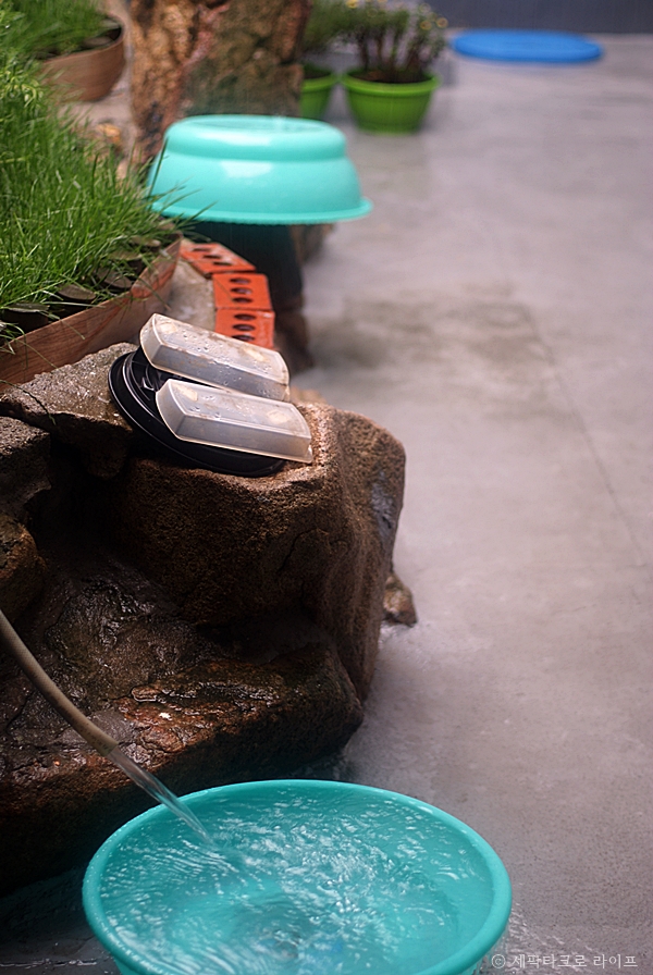 비내리는마당풍경