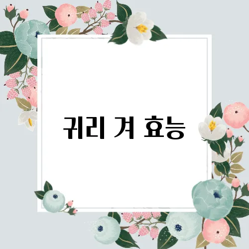 귀리 겨 효능