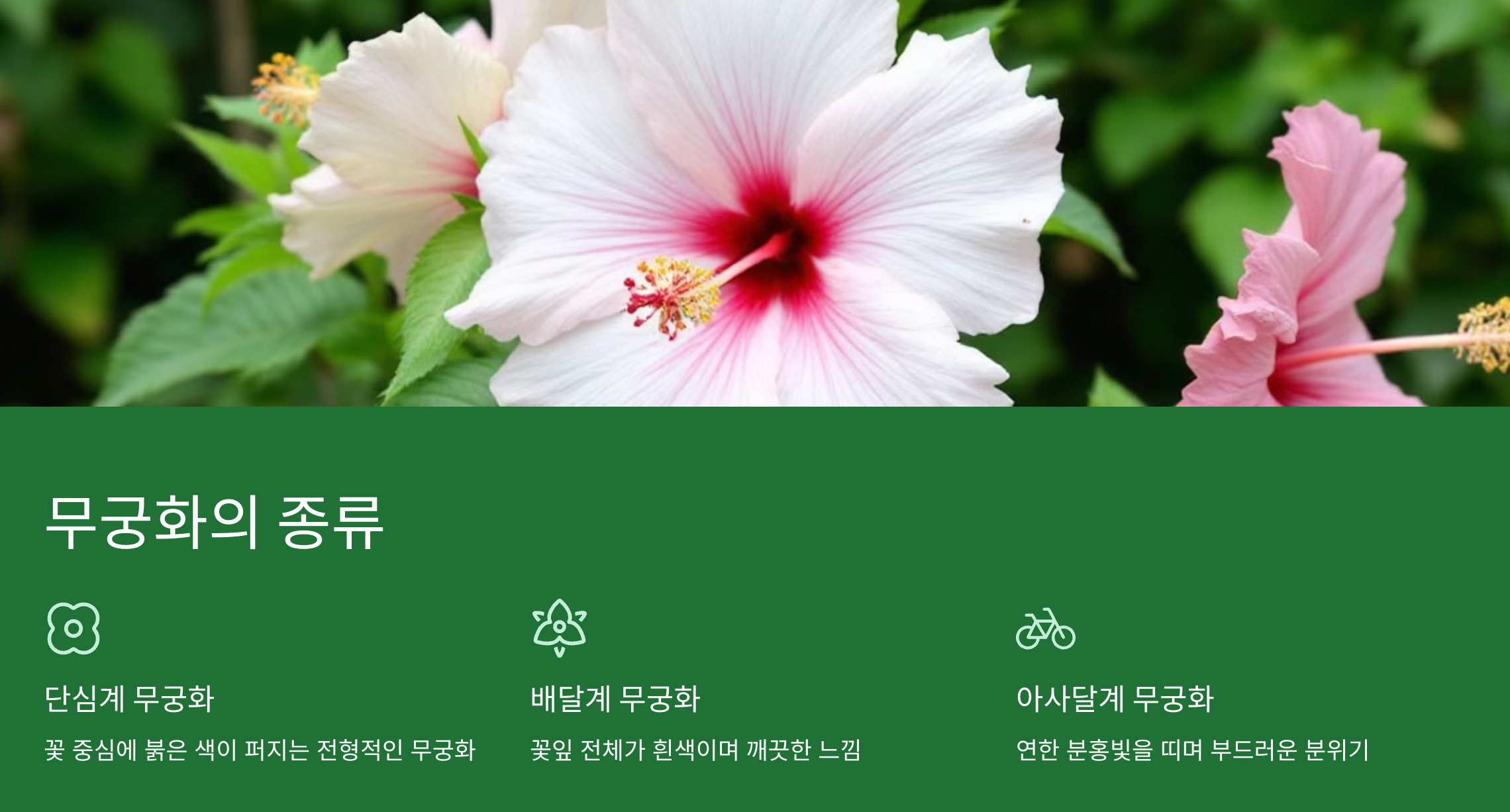 우리나라 꽃, 무궁화