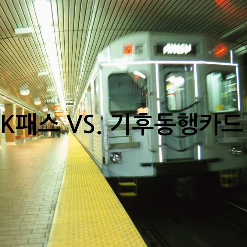K패스 vs 기후동행카드 비교