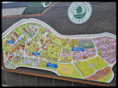 안성팜랜드 핑크뮬리&amp;#44;코스모스 가을 사진여행 추천합니다.