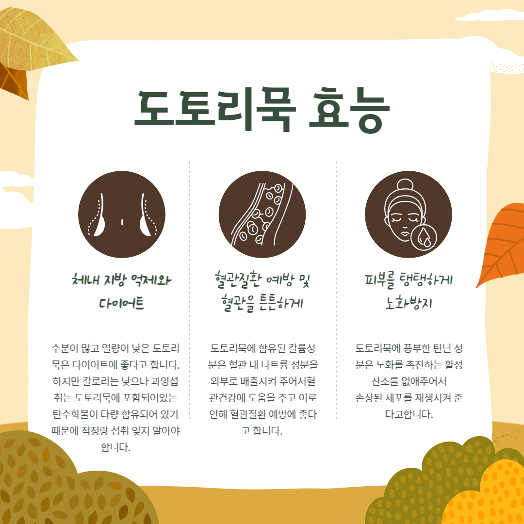 시원한 묵국수 + 도토리묵무침 황금레시피 &mdash; 다이어트&middot;여름 별미 60kcal 가성비 - 완성 근접샷
