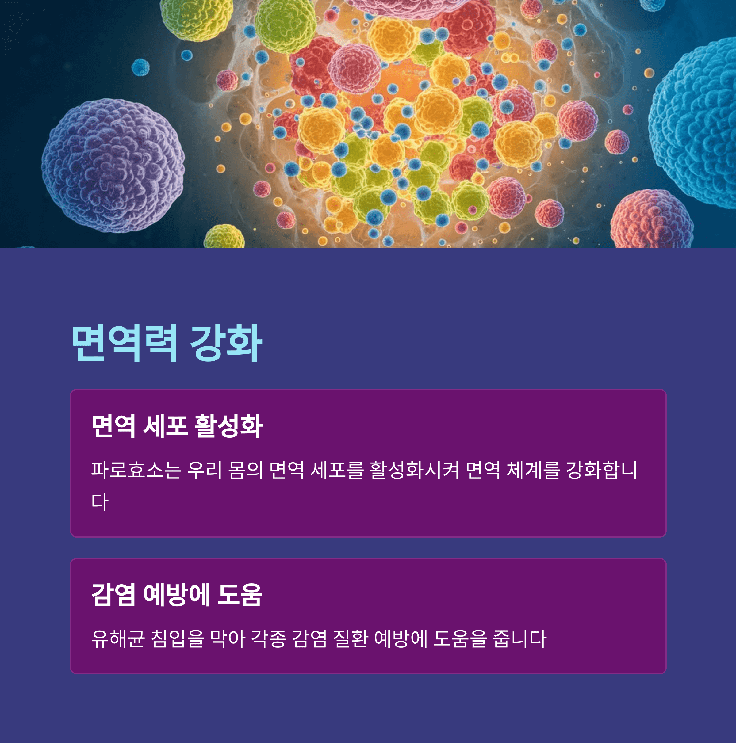 파로효소 효과
