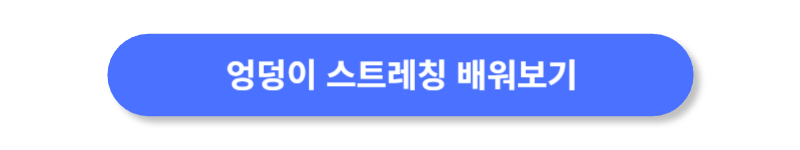 버튼