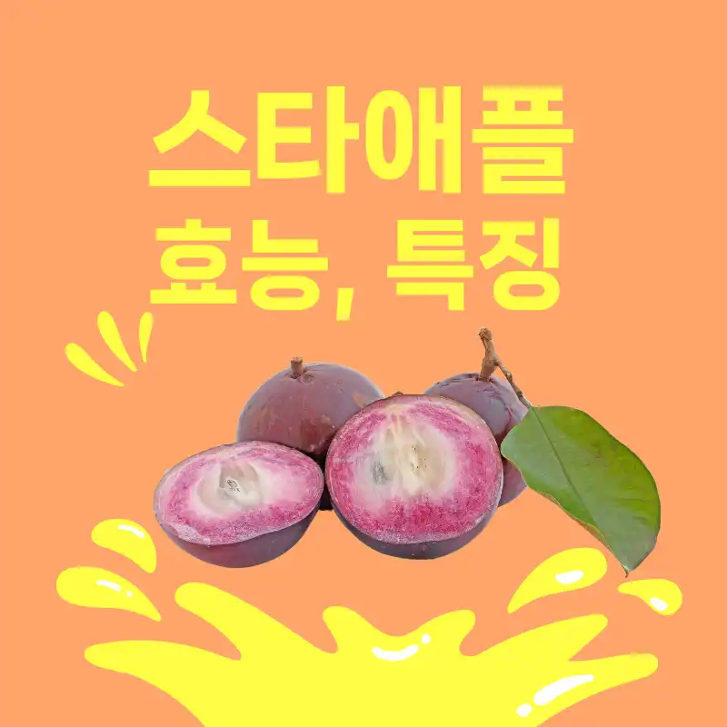 열대과일 스타애플