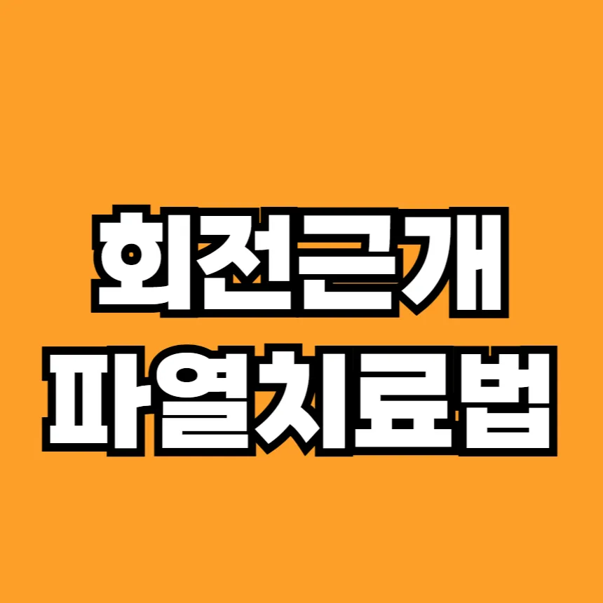 회전근개 파열 치료법