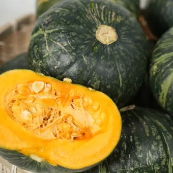 단호박 수확시기와 따는 방법 지역별로 쉽게 알아보는 정보_19