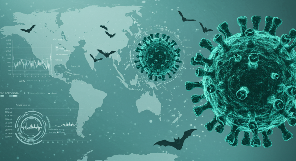 2025년 니파바이러스 완벽 요약 증상부터 치사율까지, '지금 바로 확인하세요'!