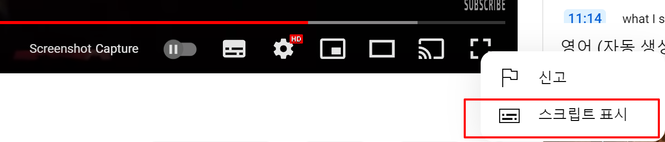 스크립트 표시 클릭 화면