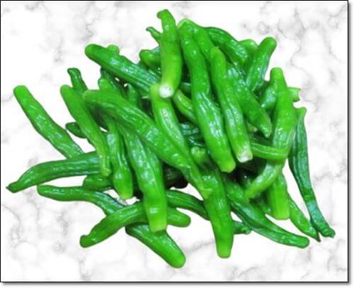 손질한 꽈리고추