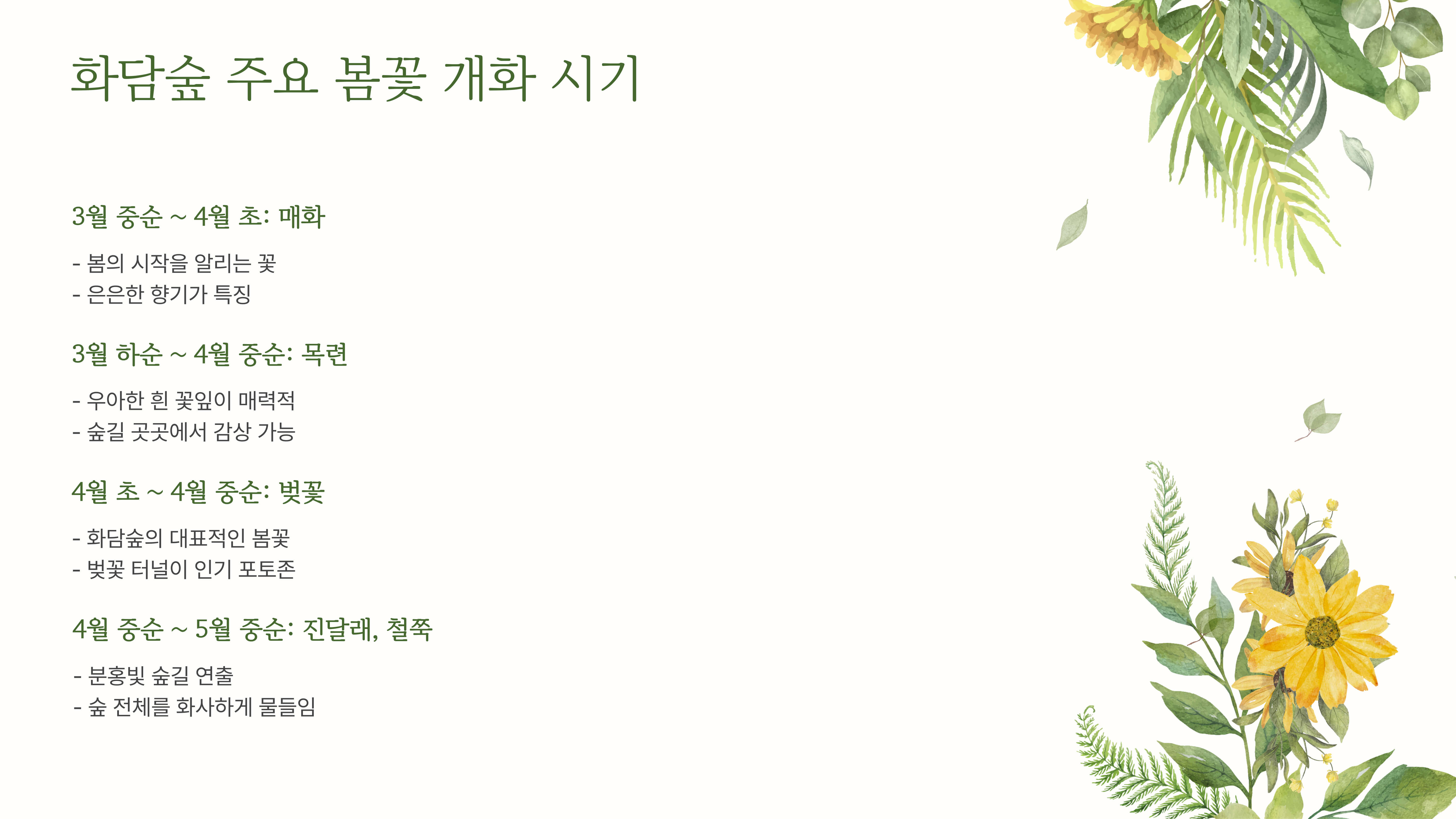 화담숲 봄꽃 개화 시기, 방문 일정 꿀팁