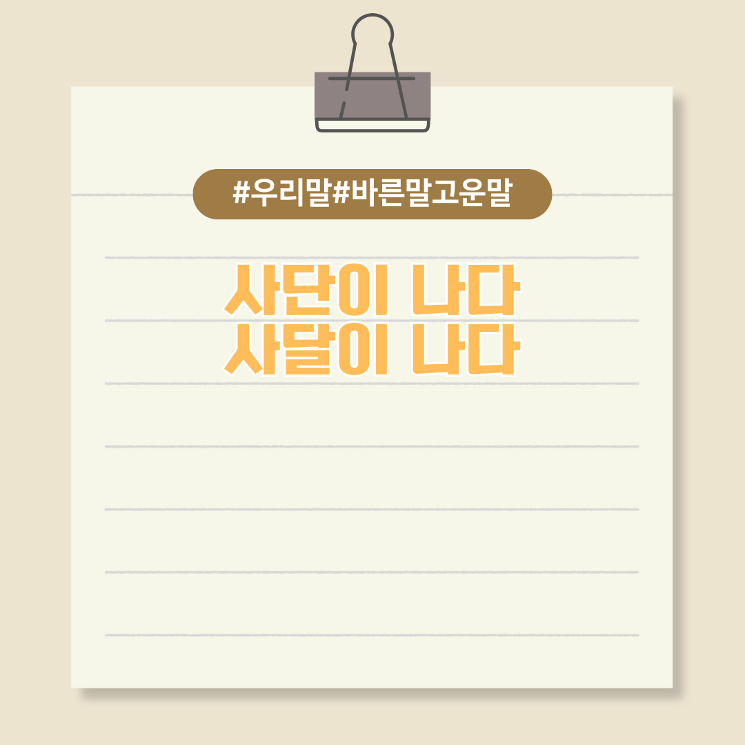 사단이 나다 vs 사달이 나다 올바른 표현은?