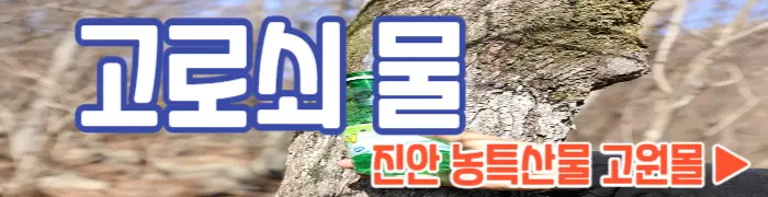 고로쇠 물 진안 농특산물 고원몰