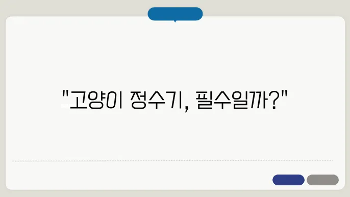 고양이 정수기 정말 필요할까? 브랜드 비교 및 필수 제품 가이드