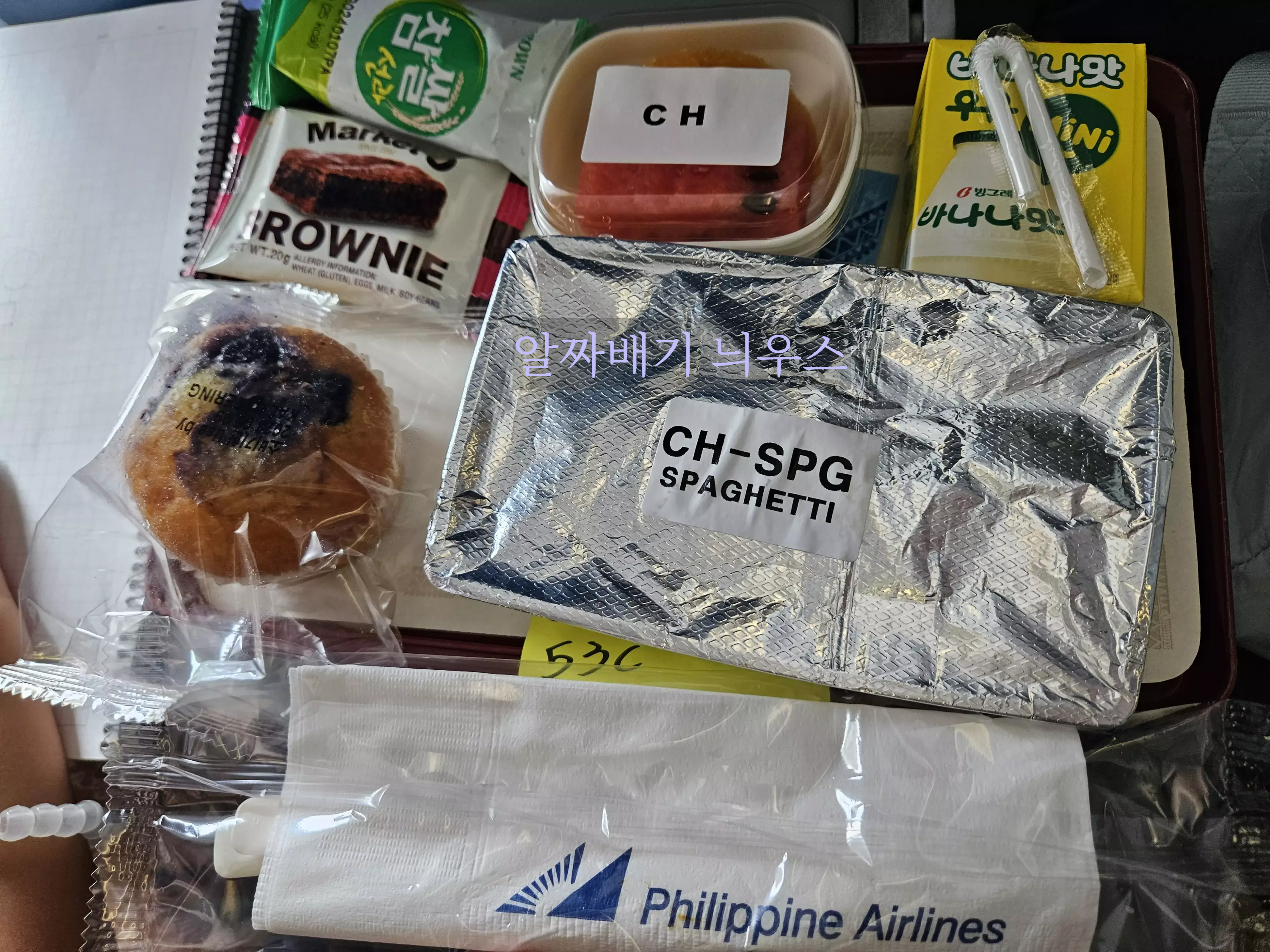 필리핀 항공 아동식