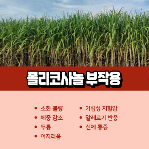 폴리코사놀_부작용