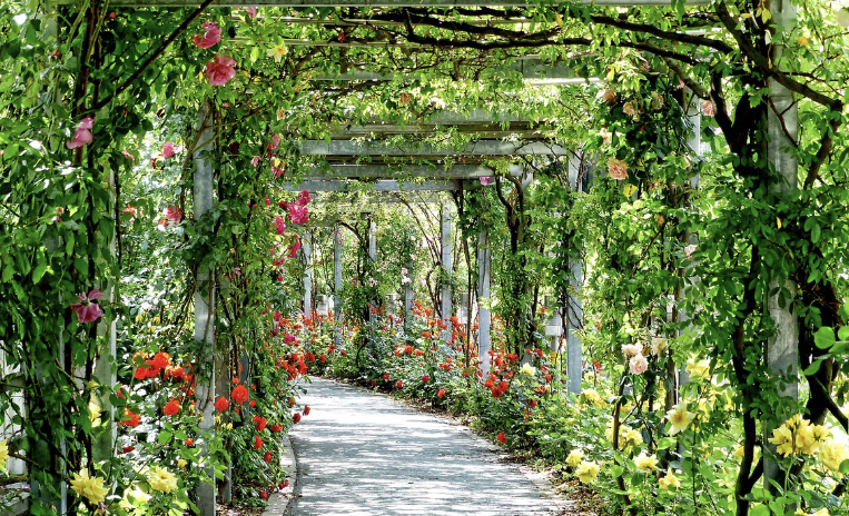 정원 구조물 관련사진