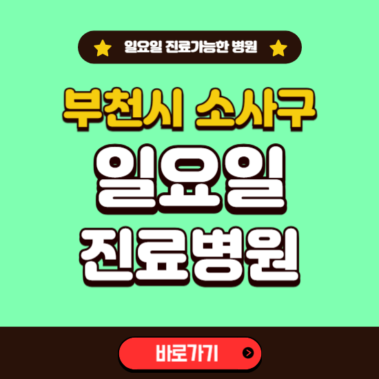 부천시 소사구 일요일 진료 가능한 병원 ❘ 주말 문여는 곳 총정리 (소아과, 내과, 안과, 치과, 피부과, 정형외과, 산부인과)