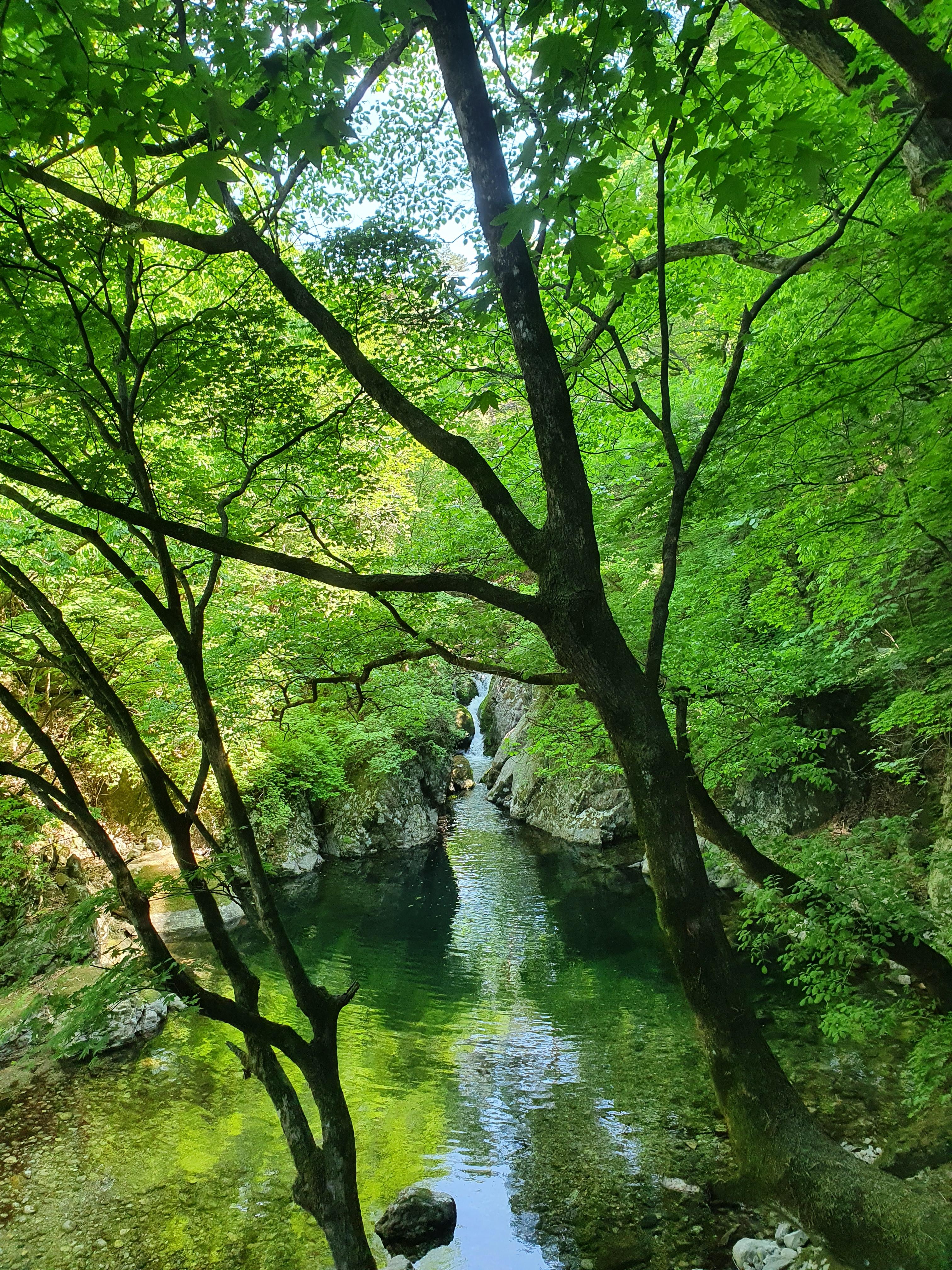 원주 구룡사 용소와 폭포
